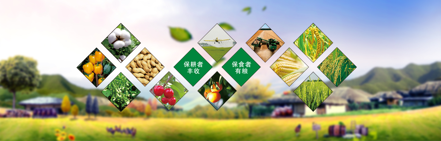 天津高效低毒除草劑、天津除草劑廠家