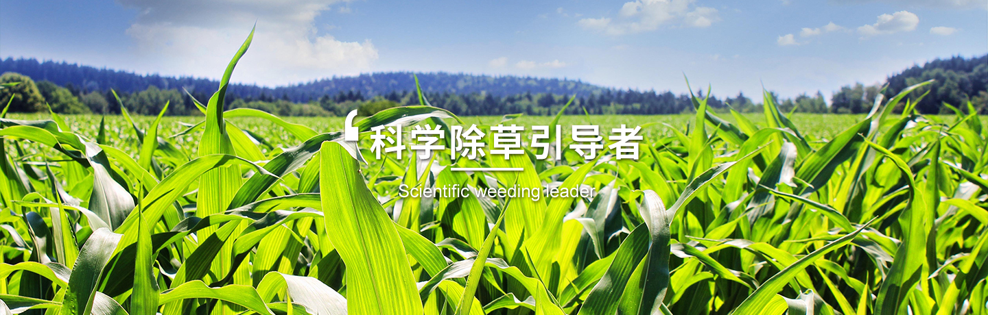 天津經作類除草劑訂購、天津高粱田除草劑
